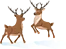 Deers