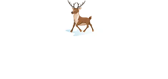Enter your info to make your wish and get your gift!!
