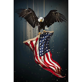 40X60 GLASS W/FOIL EAGLE FLAG