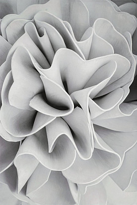 56X84 PAINTED CANVAS WHITE ROSE