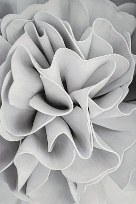 56X84 PAINTED CANVAS WHITE ROSE