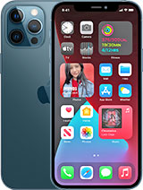                                                              							IPHONE 12 PRO MAX 256G
                                                            						 